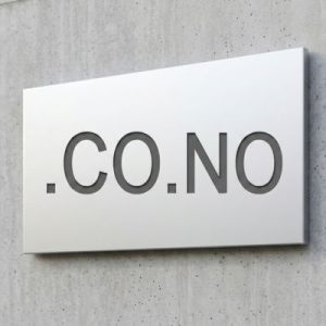 What is a .CO.NO Domain?