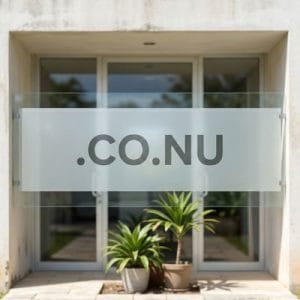 What is a .CO.NU Domain?