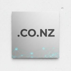 What is a .CO.NZ Domain?