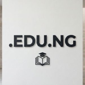What is a .EDU.NG Domain