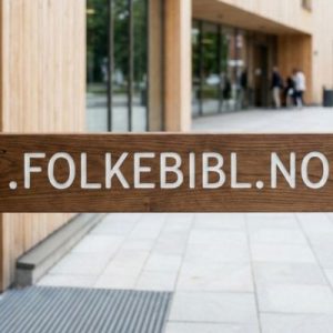 What is a .FOLKEBIBL.NO Domain