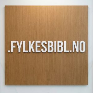 What is a .FYLKESBIBL.NO Domain