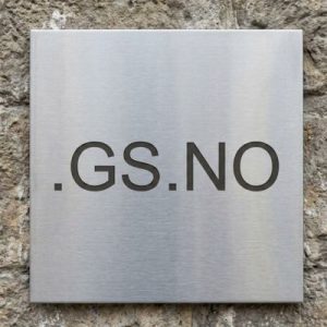 What is a .GS.NO Domain?