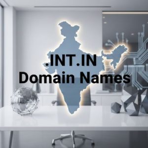 What is a .INT.IN Domain