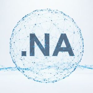 What is a .NA Domain?