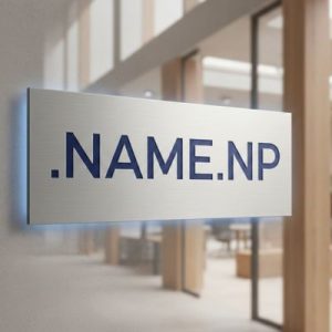 What is a .NAME.NP Domain?
