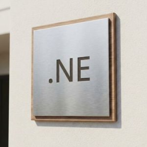 What is a .NE Domain?