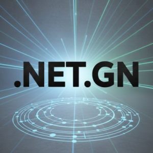 What is a .NET.GN Domain