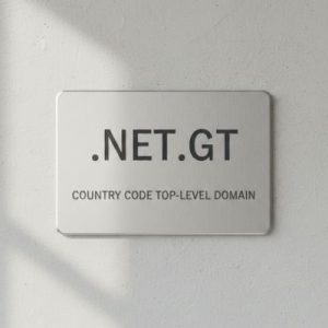 What is a .NET.GT Domain