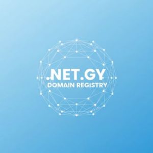 What is a .NET.GY Domain