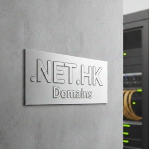 What is a .NET.HK Domain?