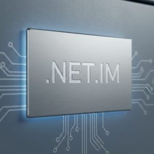 What is a .NET.IM Domain?