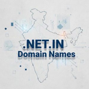 What is a .NET.IN Domain