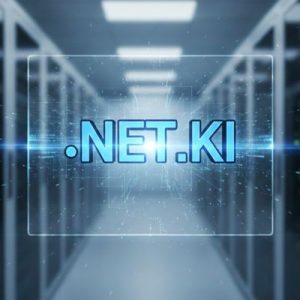 What is a .NET.KI Domain?