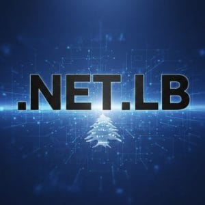 What is a .NET.LB Domain
