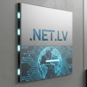 What is a .NET.LV Domain?