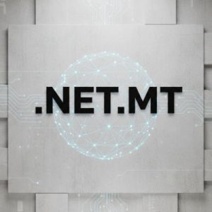 What is a .NET.MT Domain