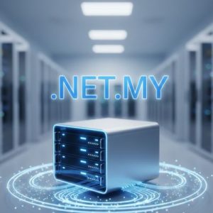 What is a .NET.MY Domain?