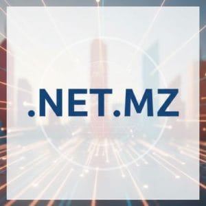 What is a .NET.MZ Domain