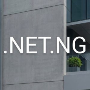 What is a .NET.NG Domain?