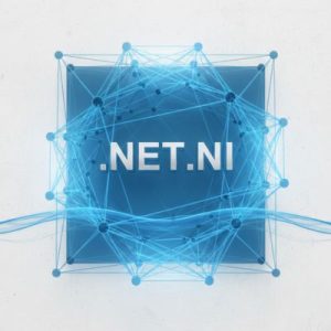 What is a .NET.NI Domain?