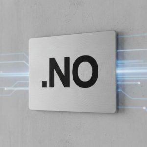 What is a .NO Domain