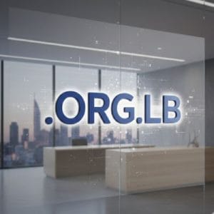 What is a .ORG.LB Domain?