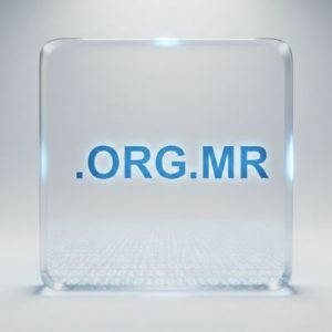 What is a .ORG.MR Domain?