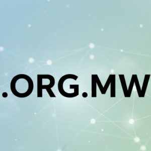 What is a .ORG.MW Domain