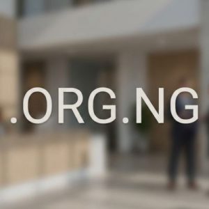 What is a .ORG.NG Domain?