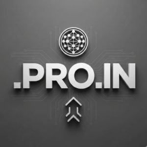 What is a .PRO.IN Domain