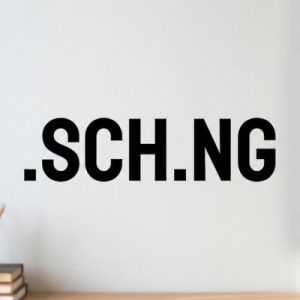 What is a .SCH.NG Domain