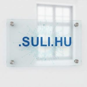 What is a .SULI.HU Domain