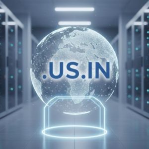 What is a .US.IN Domain?