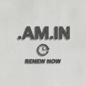 When and Why You Should Renew Your .AM.IN Domain