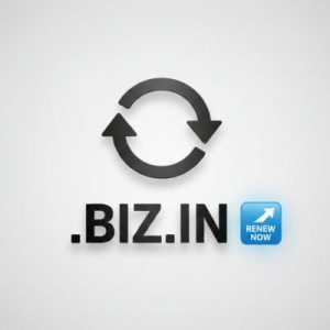 When and Why You Should Renew Your .BIZ.IN Domain