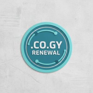 When and Why You Should Renew Your .CO.GY Domain