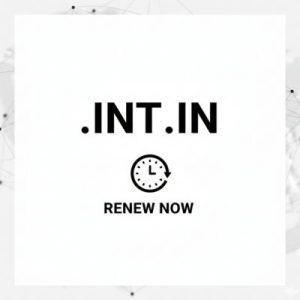 When and Why You Should Renew Your .INT.IN Domain