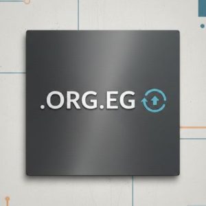 When and Why You Should Renew Your .ORG.EG Domain