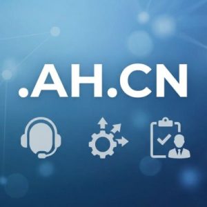 24/7 Technical Support, Strategy, and Expert Assistance-.AH.CN Domains