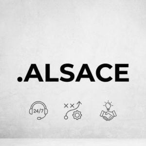 24/7 Technical Support, Strategy, and Expert Assistance- .ALSACE Domains