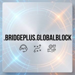 24/7 Technical Support, Strategy, and Expert Assistance-.BRIDGEPLUS.GLOBALBLOCK Domains