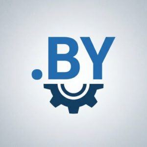 24/7 Technical Support, Strategy, and Expert Assistance - .BY Domains