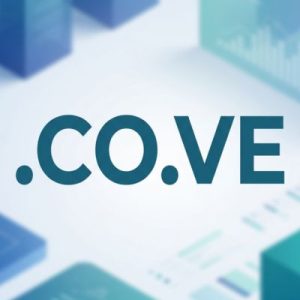 24/7 Technical Support, Strategy, and Expert Assistance - .CO.VE Domains