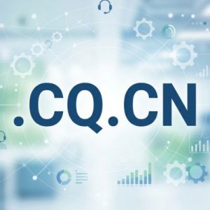 24/7 Technical Support, Strategy, and Expert Assistance- .CQ.CN Domains