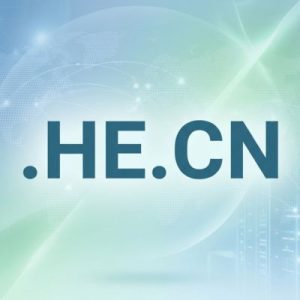 24/7 Technical Support, Strategy, and Expert Assistance- .HE.CN Domains