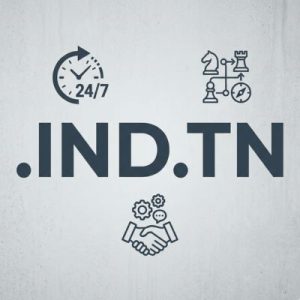 24/7 Technical Support, Strategy, and Expert Assistance- .IND.TN Domain