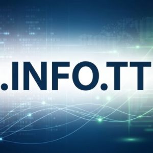 24/7 Technical Support, Strategy, and Expert Assistance- .INFO.TT Domains