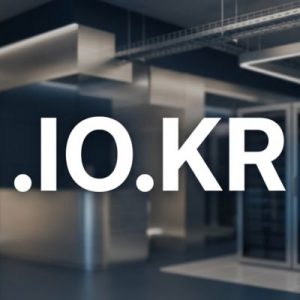 24/7 Technical Support, Strategy, and Expert Assistance -.IO.KR Domain
