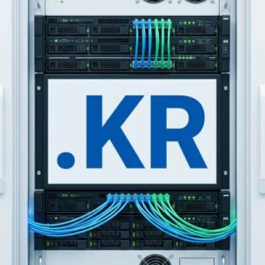 24/7 Technical Support, Strategy, and Expert Assistance- .KR Domain